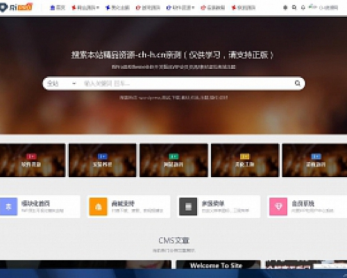 RiPro V5 6.4开心版RiPro-V5日主题破解版源码WordPress主题去授权版 虚拟资源站首选主题 站长亲测